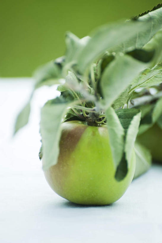 无人,竖图,俯视,室内,特写,白天,桌面,桌子,苹果,静物,水果,叶子,朦胧,模糊,新鲜,生食,食品,茎,果实,绿叶,食物,一个,青苹果,嫩叶,放,有机食品,绿色食品,单个,叶,叶片,彩图,高角度拍摄