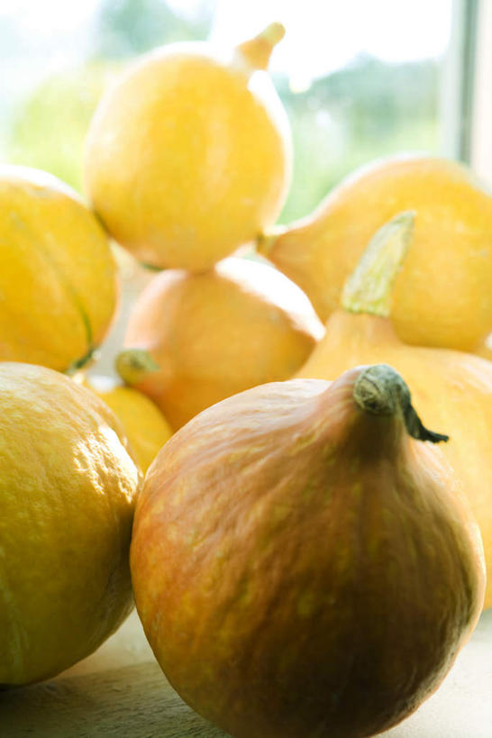 无人,竖图,俯视,室内,特写,白天,桌面,南瓜,蔬菜,一堆,许多,阴影,堆叠,堆积,朦胧,模糊,新鲜,光线,影子,食品,食物,排列,黄色,阳光,有机食品,绿色食品,堆,队列,笋瓜,玉瓜,北瓜,彩图,高角度拍摄