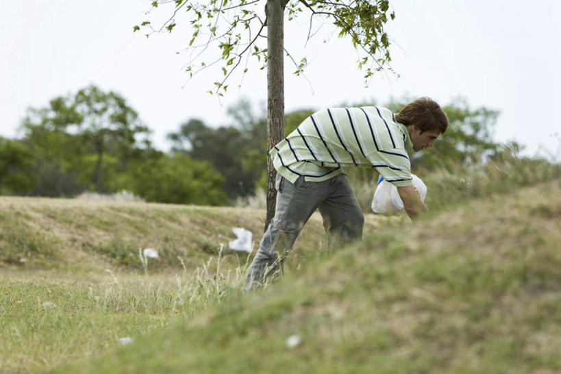 西方人,头发,一个人,站,横图,室外,白天,侧面,草地,草坪,植物,欧洲,欧洲人,仅一个男性,仅一个人,许多,弯腰,注视,休闲装,塑料袋,草,树,树木,仅一个年轻男性,黄色,蓝色,绿色,白色,蓝天,天空,自然,天,低头,观察,看,站着,休闲,休闲服,生长,成长,观看,察看,挑选,捡,关注,男人,男性,年轻男性,白种人,站立,彩图,全身