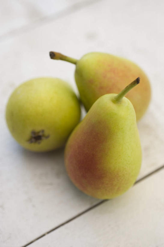 无人,竖图,俯视,室内,白天,白色背景,餐桌,桌子,梨,水果,新鲜,散落,生食,食品,果实,食物,三个,香梨,摄影,有机食品,绿色食品,影棚,餐台,生梨,彩图,高角度拍摄,影棚拍摄,拍摄