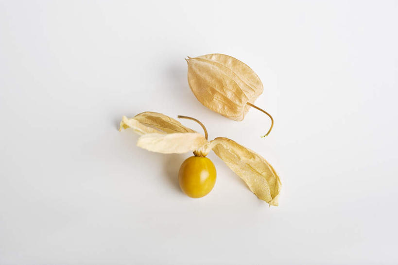 无人,横图,俯视,室内,特写,白天,白色背景,餐桌,桌子,静物,水果,新鲜,生食,食品,果实,食物,一个,黄色,摄影,有机食品,绿色食品,影棚,单个,餐台,灯笼草,沙灯笼,天泡子,水灯笼,打卜草,打额泡,天泡草,王母珠,小酸浆,彩图,高角度拍摄,影棚拍摄,拍摄