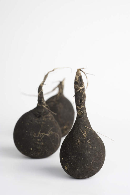 无人,竖图,俯视,室内,特写,白天,白色背景,餐桌,桌子,蔬菜,朦胧,模糊,新鲜,食品,甜菜,食物,三个,摄影,有机食品,绿色食品,影棚,餐台,甜菜根,菾菜,彩图,高角度拍摄,影棚拍摄,拍摄