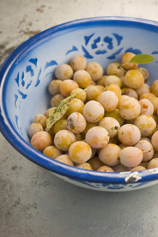 无人,竖图,俯视,室内,特写,白天,餐桌,桌子,李子,静物,餐具,水果,一堆,许多,堆叠,堆积,新鲜,生食,食品,果实,食物,一个,黄色,碗,有机食品,绿色食品,单个,餐台,堆,进餐用具,烹调用具,恐龙蛋,布冧,彩图,高角度拍摄