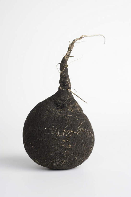 无人,竖图,室内,特写,白天,白色背景,正面,餐桌,桌子,蔬菜,静物,新鲜,食品,甜菜,食物,一个,摄影,有机食品,绿色食品,影棚,单个,餐台,甜菜根,菾菜,彩图,影棚拍摄,拍摄