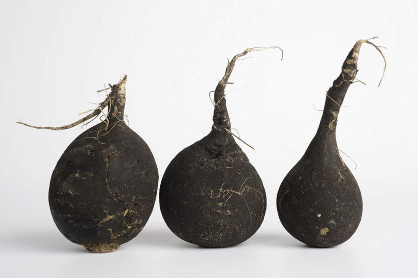 无人,横图,室内,白天,正面,餐桌,桌子,蔬菜,一排,新鲜,整齐,食品,食物,排列,三个,有机食品,绿色食品,餐台,队列,甜菜根,菾菜,彩图