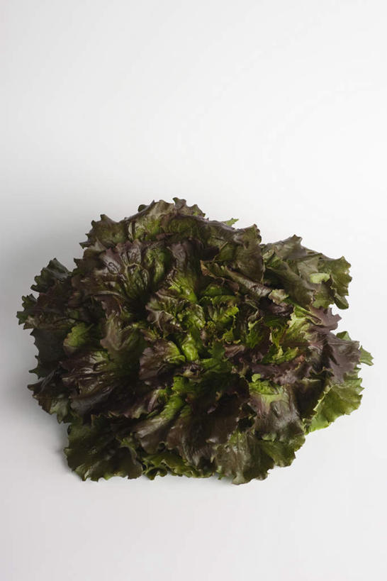 无人,竖图,俯视,室内,特写,白天,白色背景,餐桌,桌子,蔬菜,一棵,新鲜,生菜,莴苣,莴笋,食品,食物,摄影,有机食品,绿色食品,影棚,餐台,叶用莴笋,香笋,春菜,鹅仔菜,莴仔菜,千金菜,彩图,高角度拍摄,影棚拍摄,拍摄