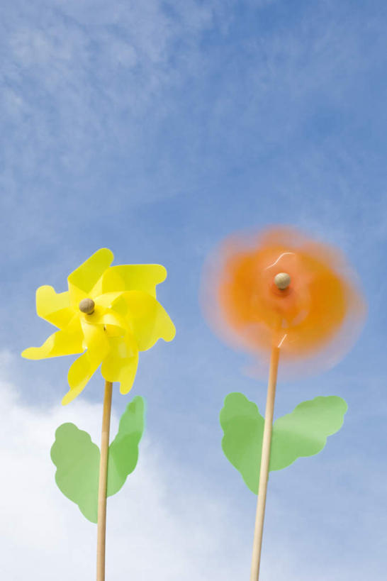 无人,竖图,室外,特写,白天,仰视,风,风车,纸风车,玩具,盛开,云,云朵,花蕾,云彩,花,花瓣,花朵,鲜花,蓝色,白云,蓝天,天空,天,花苞,花蕊,晴朗,晴空,彩图,低角度拍摄