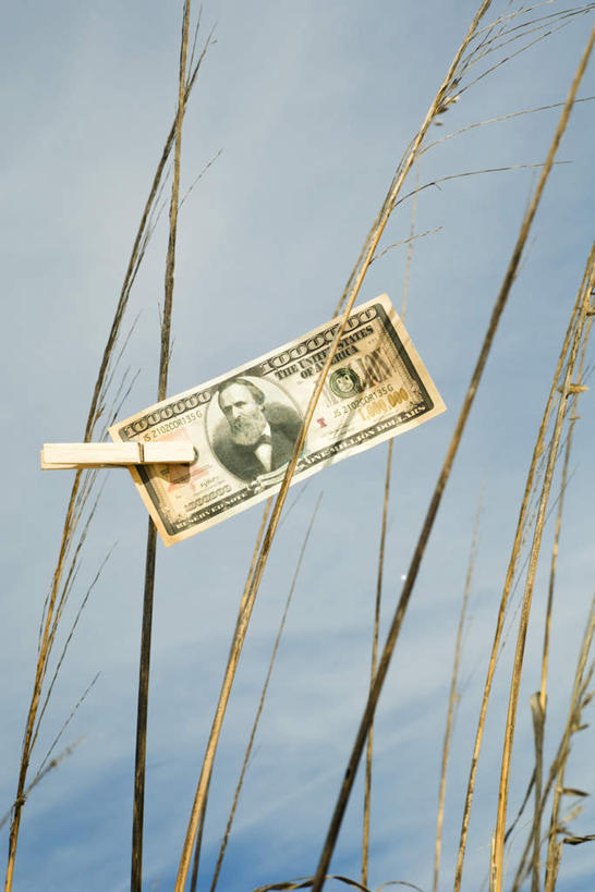 无人,竖图,室外,特写,白天,仰视,钱,美元,草地,植物,静物,钱币,云,云朵,云彩,草,蓝色,绿色,白云,蓝天,天空,夹子,天,钞票,金融,纸币,经济,晴朗,流通,纸钞,贸易,货币,现金,晴空,彩图,低角度拍摄