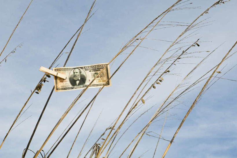 无人,横图,室外,特写,白天,仰视,钱,美元,草地,植物,静物,钱币,云,云朵,云彩,草,蓝色,绿色,白云,蓝天,天空,夹子,天,钞票,金融,纸币,经济,晴朗,流通,纸钞,贸易,货币,现金,晴空,彩图,低角度拍摄