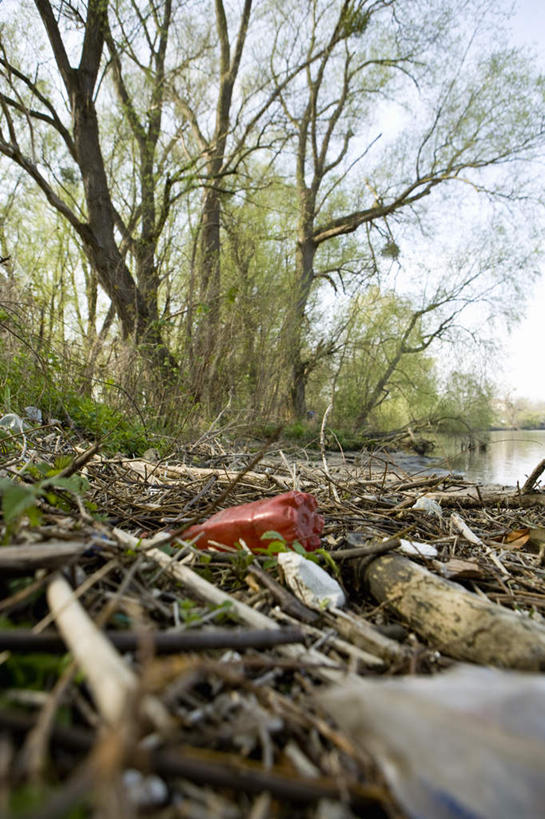 无人,竖图,室外,白天,仰视,河流,树林,水,植物,环保,河水,水流,枯枝,垃圾,树,树木,树枝,蓝色,绿色,蓝天,天空,自然,天,肮脏,生长,晴朗,成长,环境,回收,资源,脏,利用,低碳,循环,万里无云,晴空,晴空万里,彩图,低角度拍摄