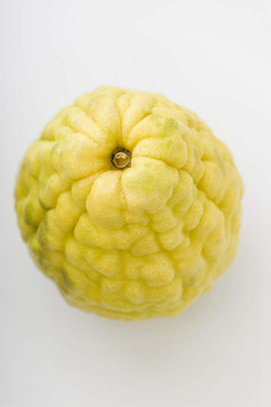 无人,竖图,俯视,室内,特写,白天,白色背景,水果,新鲜,生食,食品,果实,食物,一个,黄色,摄影,有机食品,绿色食品,影棚,单个,枸橼子,香橼,拘橼,彩图,高角度拍摄,影棚拍摄,拍摄