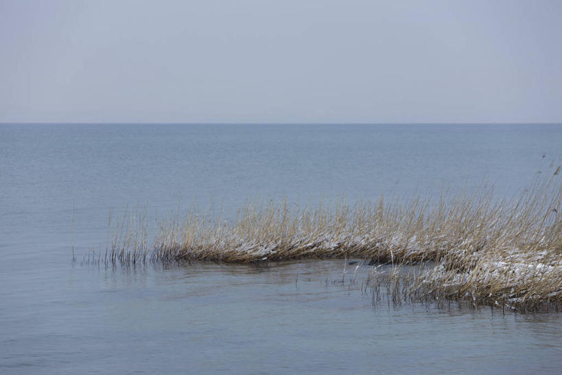 无人,横图,室外,白天,正面,旅游,度假,海浪,海洋,美景,芦苇,叶子,瑞士,欧洲,吊挂,悬挂,阴影,清澈,光线,影子,景观,浪花,水平线,辽阔,粽叶,绿叶,海平线,挂,霜,娱乐,蓝色,蓝天,天空,阳光,自然,海水,天,享受,休闲,广阔,嫩叶,景色,放松,寒冷,晴朗,一望无际,冰冷,自然风光,海景,中欧,万里无云,箬叶,芦苇叶,严寒,瑞士联邦,冰凉,酷寒,凛冽,凛凛,极冷,无边无际,一马平川,清亮,叶,叶片,大海,风浪,海,海水的波动,近岸浪,涌浪,晴空,晴空万里,彩图,水天相接,水天一线