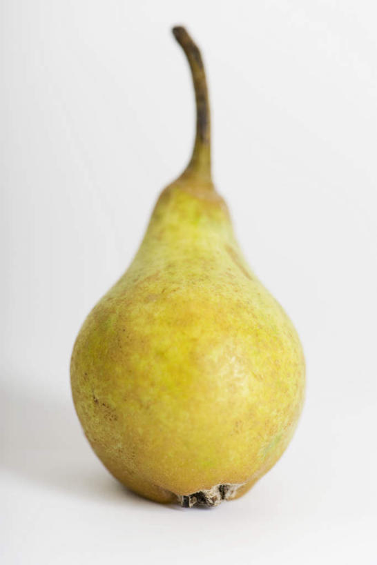 无人,竖图,室内,白天,白色背景,正面,水果,新鲜,生食,食品,果实,食物,一个,黄色,酪梨,鳄梨,摄影,有机食品,绿色食品,影棚,油梨,樟梨,牛油果,彩图,影棚拍摄,拍摄