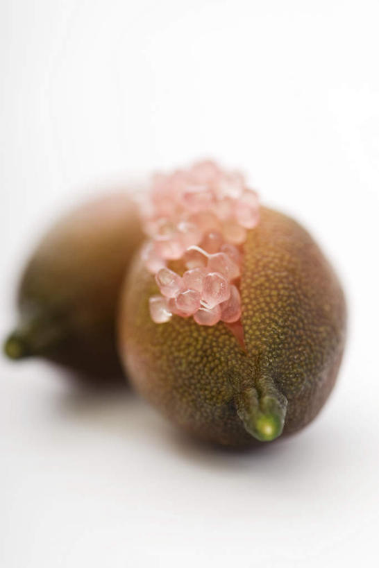 无人,竖图,室内,白天,白色背景,正面,水果,新鲜,生食,食品,果实,食物,两个,灰色,果粒,摄影,有机食品,绿色食品,影棚,青柠,彩图,影棚拍摄,拍摄