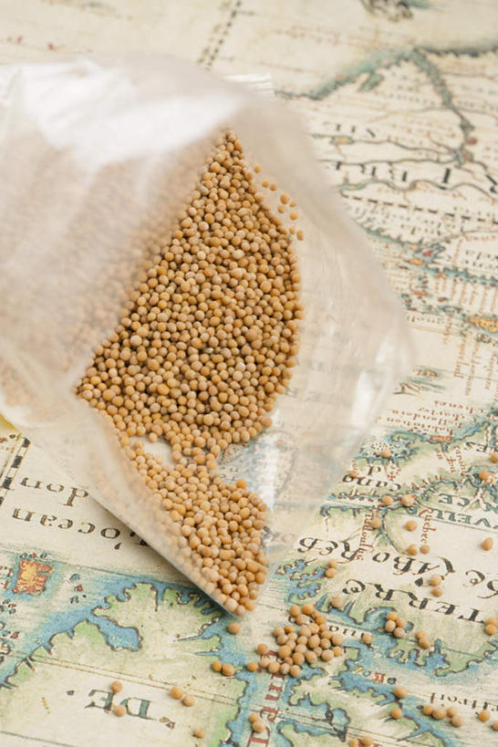 无人,竖图,俯视,室内,特写,白天,植物,道路,豆,大豆,蔬菜,袋子,地图,一堆,许多,堆叠,堆积,新鲜,信息,豆类,豆子,毛豆,食品,交通,方向,塑料袋,食物,有机食品,绿色食品,引导,指引,堆,豆科,枝豆,黄豆,彩图,高角度拍摄,导航