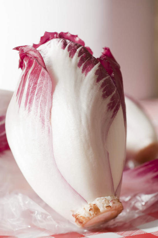 无人,竖图,俯视,室内,白天,白色背景,蔬菜,新鲜,菊苣,食品,药草,食物,一个,白色,摄影,有机食品,绿色食品,影棚,单个,药材,彩图,高角度拍摄,影棚拍摄,拍摄