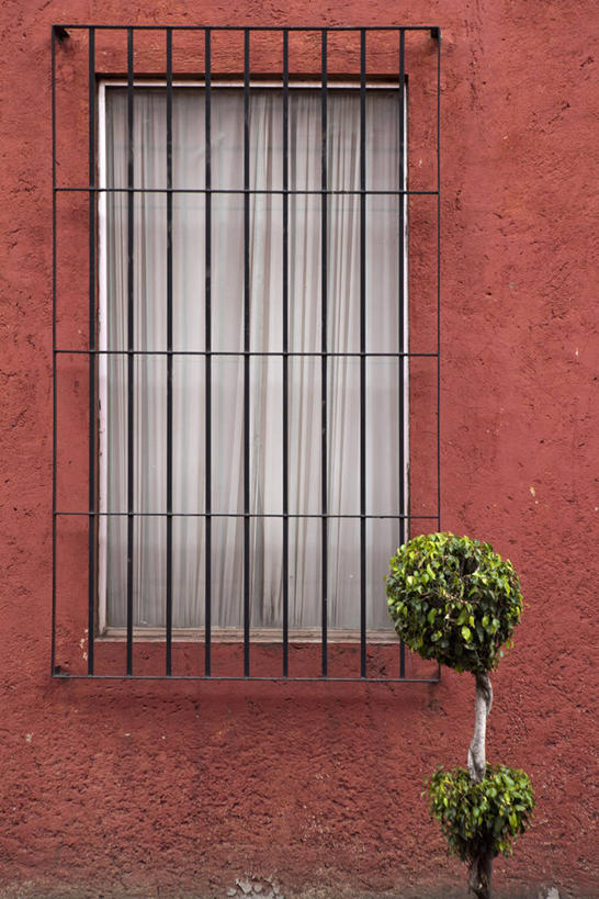 无人,家,竖图,室外,白天,正面,兴奋,热情,安全,植物,窗户,城市,墨西哥,房屋,墙,屋子,防护,首都,开放,楼房,防盗窗,玻璃窗,墙壁,墙面,住宅,树,树木,红色,绿色,自然,健康,温暖,奔放,活力,积极,激情,朝气,生长,成长,保护,暖色,吉祥,北美,北美洲,生命,美洲,保险,饱满,墨西哥城,北亚美利加洲,亚美利加洲,保全,周全,安稳,安定,墨西哥合众国,仙人掌王国,革命,联邦区,热烈,赤色,充实,斗志,喜气,主动,平安,彩图,欢乐,房子