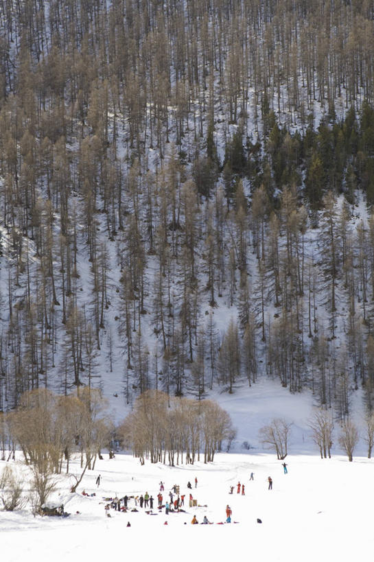 西方人,竖图,室外,白天,正面,旅游,度假,美景,森林,山,山脉,树林,雪,植物,大雪,法国,欧洲,欧洲人,握,阴影,服装,光线,滑雪,工具,器材,影子,积雪,景观,山峰,雪景,冬季,冬天,山峦,许多人,注视,娱乐,运动器械,树,树木,衣服,绿色,阳光,自然,群山,观察,看,一群人,享受,休闲,温暖,器械,健身器械,景色,放松,寒冷,握着,服饰,生长,成长,拐杖,观看,保暖,滑雪板,滑雪杖,察看,御寒,关注,自然风光,健身器材,滑雪服,滑雪装备,法兰西共和国,法兰西第五共和国,严寒,辅助设备,普罗旺斯.阿尔卑斯.蓝色海岸,普罗旺斯.阿尔卑斯.蓝色海岸大区,竞技服,旅游服,冬装,男人,男性,年轻男性,年轻女性,女人,女性,白种人,半身,彩图,上普罗旺斯阿尔卑斯省,运动器材