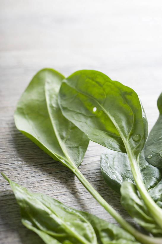 无人,竖图,俯视,室内,特写,白天,餐桌,桌子,菠菜,蔬菜,阴影,新鲜,反射,影子,食品,食物,有机食品,绿色食品,餐台,鹦鹉菜,鼠根菜,角菜,红嘴绿鹦哥,赤根菜,菠薐菜,波斯草,彩图,高角度拍摄