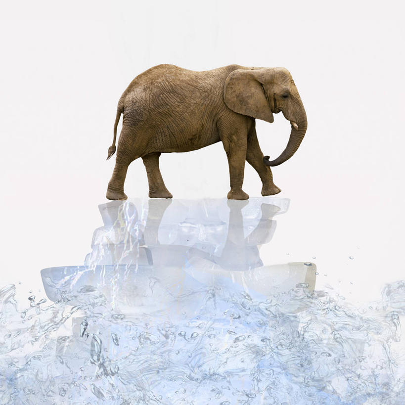 无人,走,方图,室内,白天,白色背景,侧面,数码,科技,全球变暖,哺乳动物,大象,野生动物,一头,阴影,环保,反射,网络,影子,冰,高光,几何,计算机图形,合成,注视,动物,浮冰,观察,看,寒冷,能源,观看,回收,电脑合成图,数码合成图,资源,察看,冰冷,合成图,关注,自然现象,利用,低碳,循环,写实,具体,具象,严寒,冰凉,酷寒,凛冽,凛凛,极冷,流冰,浮冰块,持续,象,步行,散步,走路,彩图,全身,全球气候变暖