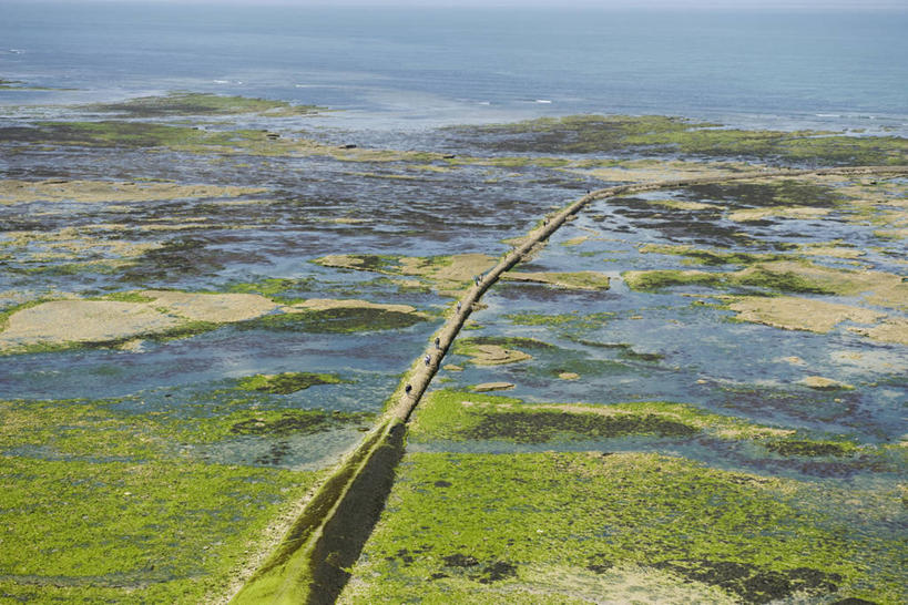 无人,横图,俯视,航拍,室外,白天,旅游,度假,草地,草原,海浪,海洋,美景,沙滩,植物,法国,欧洲,沙子,河岸,河滩,景观,旷野,浪花,沙地,娱乐,草,绿色,自然,海水,享受,休闲,景色,放松,鸟瞰,自然风光,原野,海景,法兰西共和国,法兰西第五共和国,普瓦图.夏朗德,普瓦图.夏朗德大区,夏朗德省,大海,风浪,海,海水的波动,近岸浪,涌浪,彩图,高角度拍摄