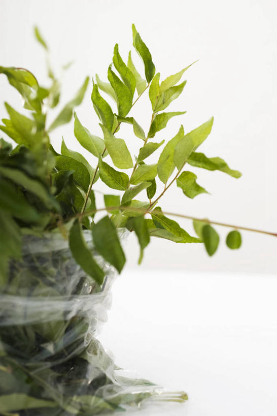 咖哩,无人,竖图,室内,特写,白天,正面,购物,消费,餐桌,桌子,袋子,叶子,阴影,反射,手提袋,影子,塑料,调料,绿叶,购物袋,调味品,调味料,塑料袋,咖喱,塑料制品,嫩叶,金融,摄影,影棚,餐台,购买,贸易,马夹袋,马甲袋,叶,叶片,彩图,影棚拍摄,拍摄,咖喱叶