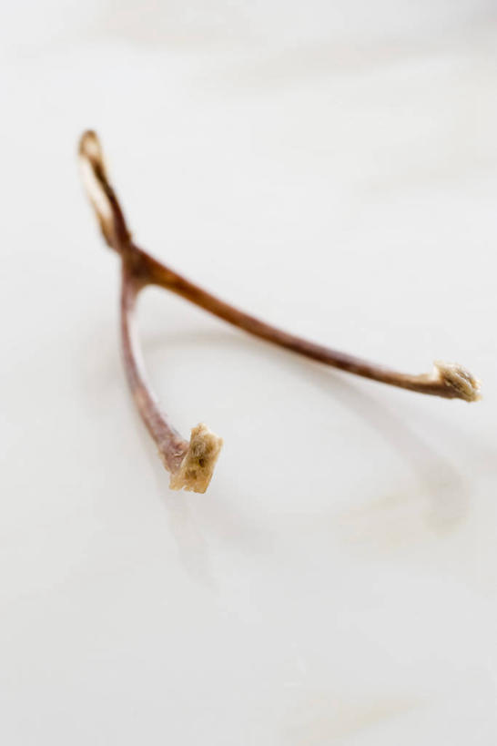 骨骼,无人,竖图,俯视,室内,特写,白天,白色背景,静物,一根,阴影,反射,影子,骨头,摄影,影棚,骨架,彩图,高角度拍摄,影棚拍摄,拍摄,叉骨