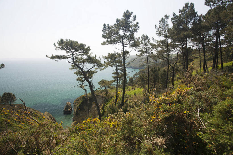 无人,横图,室外,白天,正面,旅游,度假,草地,草坪,海浪,海洋,美景,山,山脉,树林,植物,法国,欧洲,阴影,光线,影子,景观,浪花,山峰,山峦,娱乐,草,树,树木,蓝色,绿色,蓝天,天空,阳光,自然,海水,群山,天,享受,休闲,景色,放松,生长,晴朗,成长,布列塔尼,自然风光,海景,万里无云,法兰西共和国,法兰西第五共和国,菲尼斯泰尔省,布列塔尼地区,非尼斯泰尔省,大海,风浪,海,海水的波动,近岸浪,涌浪,晴空,晴空万里,彩图