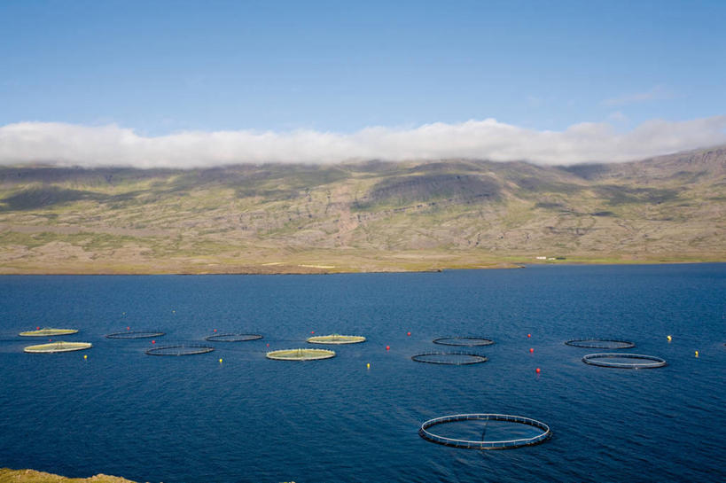 无人,横图,俯视,室外,白天,旅游,度假,渔业,养殖场,海浪,海洋,美景,山,阴影,光线,影子,景观,浪花,山峰,云,云朵,山峦,云彩,娱乐,蓝色,白云,蓝天,天空,阳光,自然,海水,天,享受,休闲,景色,放松,晴朗,自然风光,海景,大海,风浪,海,海水的波动,近岸浪,涌浪,晴空,彩图,高角度拍摄