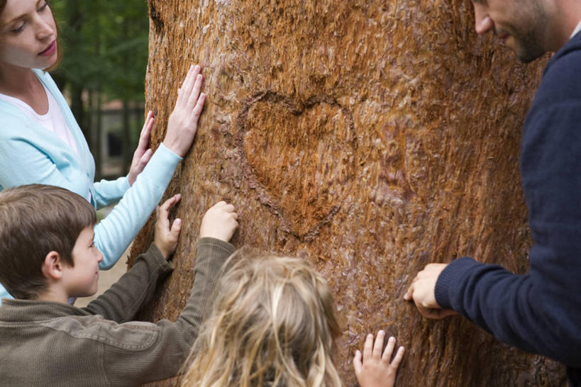 西方人,儿童,中年人,四个人,家庭,夫妻,母亲,父亲,女儿,儿子,站,笑,摸,微笑,横图,室外,白天,正面,爱情,纯洁,植物,欧洲,欧洲人,抚摸,服装,爱心,纹路,纹理,棕色,树皮,浪漫,注视,休闲装,树,树干,树木,小孩,衣服,绿色,自然,观察,看,站着,休闲,温暖,温馨,心形,父女,父子,母女,母子,一家人,休闲服,恩爱,父爱,可爱,母爱,童年,童趣,恋人,服饰,生长,成长,观看,和睦,察看,关注,童真,烂漫,无邪,肌理,天真,男孩,男人,男性,女孩,女人,女性,中年男性,中年女性,白种人,孩子,心型,夫妇,情侣,触摸,接触,站立,半身,彩图,伴侣,融洽,男生,女生