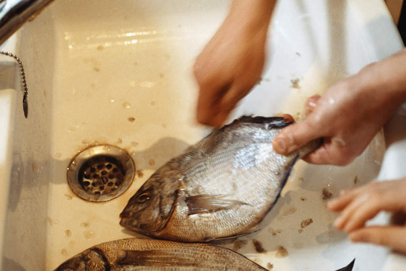 西方人,儿童,手,两个人,家庭,母亲,儿子,摸,横图,俯视,室内,特写,白天,纯洁,欧洲,欧洲人,两条,撑,握,阴影,服装,朦胧,模糊,新鲜,光线,鱼,水龙头,影子,水池,食品,拿,拿着,休闲装,食物,小孩,衣服,阳光,休闲,温暖,温馨,母子,一家人,手部,休闲服,可爱,母爱,童年,童趣,握着,服饰,刮,死亡,和睦,撑着,童真,烂漫,无邪,天真,男孩,男人,男性,年轻男性,女孩,女人,女性,白种人,触摸,接触,半身,彩图,高角度拍摄,融洽,男生,女生