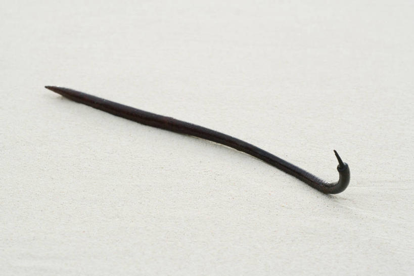 无人,横图,俯视,室外,特写,白天,美景,沙滩,阴影,光线,浮木,沙子,影子,海岸,景观,沙地,一个,阳光,自然,景色,单个,拐杖,手杖,自然风光,海滩,彩图,高角度拍摄