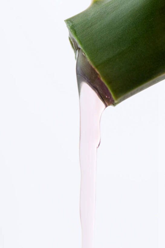 无人,竖图,室内,特写,白天,白色背景,正面,水,芦荟,阴影,朦胧,模糊,反射,液体,影子,水滴,摄影,影棚,倾泻,倾注,横截面,剖面,罗帷草,讷会,奴会,象鼻莲,象胆,泼洒,截面,截面图形,彩图,影棚拍摄,拍摄,油葱