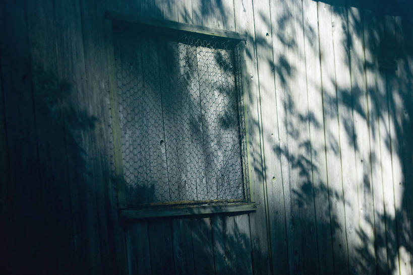 无人,横图,室外,白天,正面,阴影,光线,木制,影子,墙,铁丝网,墙壁,墙面,黑色,阳光,木制品,铁蒺藜,彩图