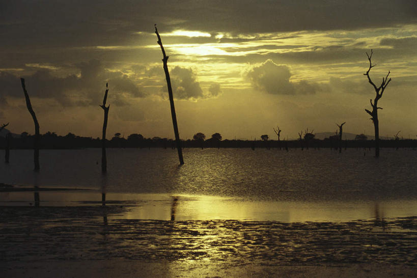 无人,横图,室外,白天,正面,旅游,度假,草地,草坪,河流,美景,树林,水,植物,斯里兰卡,亚洲,阴影,光线,影子,河水,景观,水流,娱乐,草,树,树木,绿色,阳光,自然,享受,休闲,景色,放松,生长,成长,自然风光,南亚,斯里兰卡民主社会主义共和国,彩图