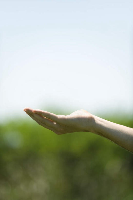 西方人,手,一个人,竖图,室外,特写,白天,侧面,树林,植物,欧洲,欧洲人,仅一个男性,仅一个人,阴影,服装,朦胧,模糊,光线,影子,摊开,休闲装,树,树木,仅一个年轻男性,衣服,蓝色,绿色,蓝天,天空,阳光,自然,天,休闲,手部,休闲服,伸手,服饰,生长,晴朗,成长,万里无云,男人,男性,年轻男性,白种人,晴空,晴空万里,半身,彩图