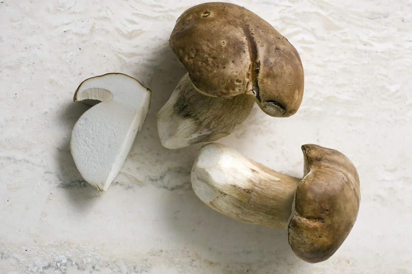 无人,横图,俯视,室内,特写,白天,桌面,桌子,蔬菜,新鲜,菌菇,蘑菇,食品,菌类,食物,三个,食用菌,摄影,有机食品,绿色食品,影棚,美味牛肝菌,彩图,高角度拍摄,影棚拍摄,拍摄