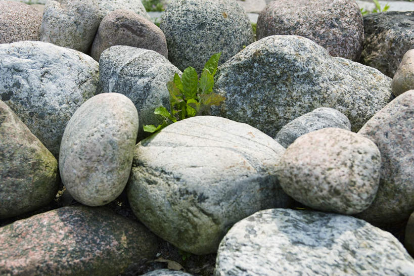 无人,横图,室外,白天,正面,草地,草坪,石头,植物,瑞典,欧洲,一堆,许多,阴影,堆叠,堆积,光线,石子,影子,草,绿色,阳光,鹅卵石,堆,北欧,按摩石,石块,彩图