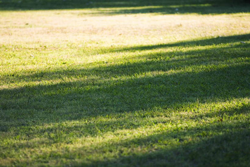 无人,横图,俯视,室外,白天,旅游,度假,草地,草坪,美景,植物,阴影,光线,影子,景观,枯草,枯黄,娱乐,草,绿色,阳光,自然,享受,休闲,景色,放松,自然风光,彩图,高角度拍摄