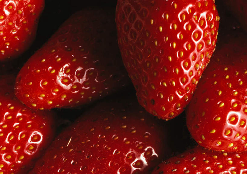 无人,横图,俯视,室内,特写,白天,草莓,静物,水果,许多,新鲜,生食,食品,果实,食物,红色,有机食品,绿色食品,洋莓,水果皇后,红莓,地莓,彩图,高角度拍摄