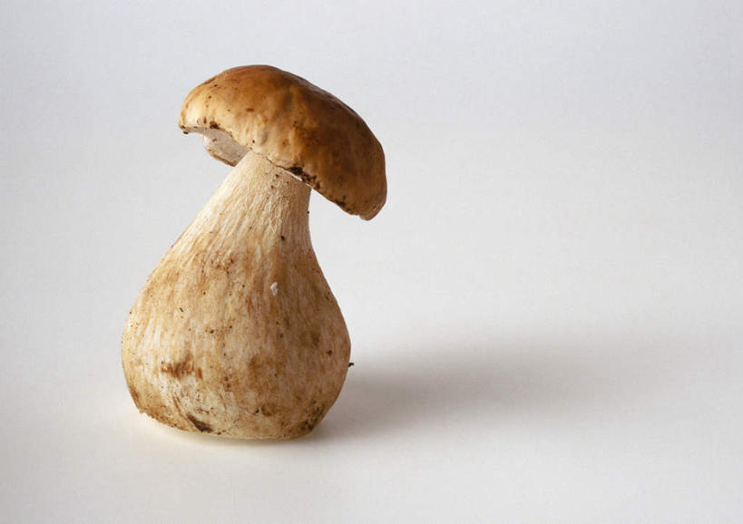 无人,横图,俯视,室内,特写,白天,餐桌,桌子,蔬菜,静物,新鲜,菌菇,食品,菌类,草菇,食物,一个,食用菌,有机食品,绿色食品,单个,餐台,麻菇,美味草菇,彩图,高角度拍摄