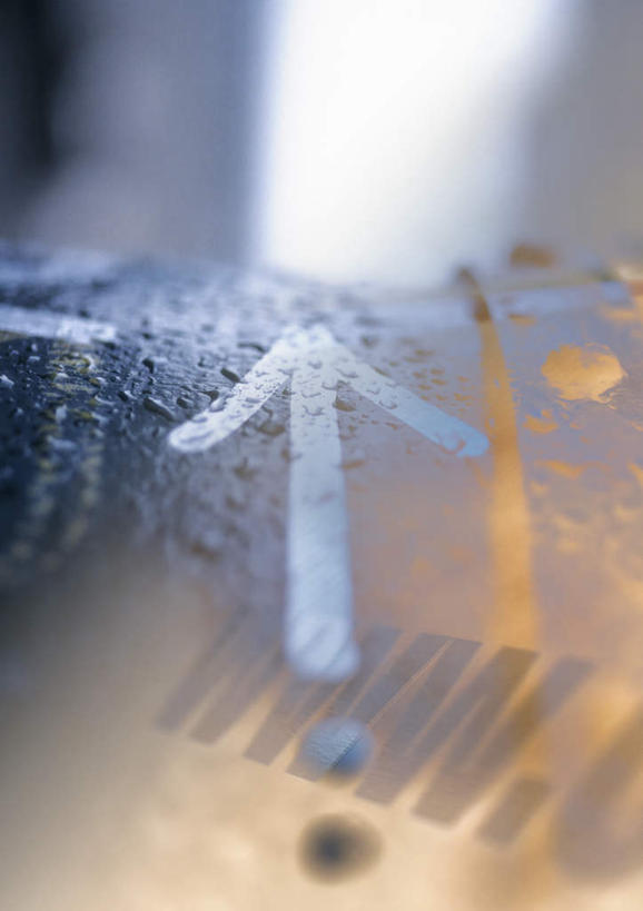 无人,竖图,室外,白天,正面,静物,朦胧,模糊,标志,文字,字符,字母,水滴,方向,标识,箭头,水珠,英文字母,指向,簇,半身,彩图