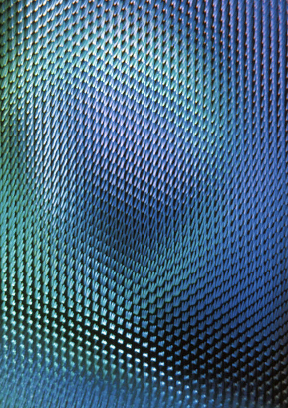 无人,竖图,室内,白天,正面,抽象,数码,科技,阴影,形状,反射,网络,光,光亮,高光,几何,计算机图形,合成,蓝色,夸张,明亮,电脑合成图,数码合成图,深奥,彩图