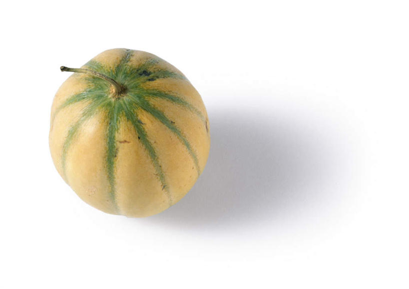 无人,横图,俯视,室内,特写,白天,白色背景,餐桌,桌子,静物,水果,阴影,新鲜,反射,影子,生食,食品,果实,甜瓜,食物,一个,整个,香瓜,摄影,有机食品,绿色食品,影棚,单个,餐台,甘瓜,彩图,高角度拍摄,影棚拍摄,拍摄