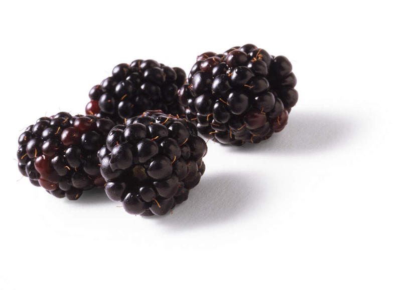 无人,横图,俯视,室内,特写,白天,白色背景,餐桌,桌子,黑加仑,黑莓,静物,水果,新鲜,生食,食品,果实,食物,黑色,四个,摄影,有机食品,绿色食品,影棚,餐台,露莓,黑穗醋栗,黑豆果,黑醋栗,醋栗,彩图,高角度拍摄,影棚拍摄,拍摄