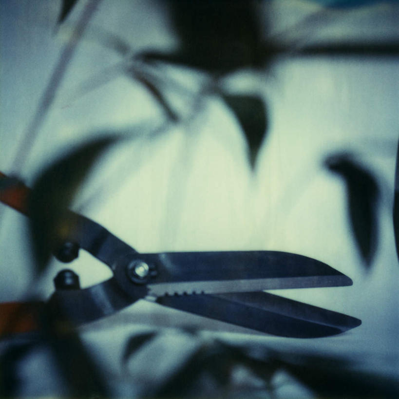 无人,方图,俯视,室内,特写,白天,白色背景,静物,叶子,一把,修剪,朦胧,模糊,工具,剪刀,绿叶,嫩叶,摄影,影棚,裁剪,剪子,剪裁,切割,园艺剪,叶,叶片,彩图,高角度拍摄,影棚拍摄,拍摄