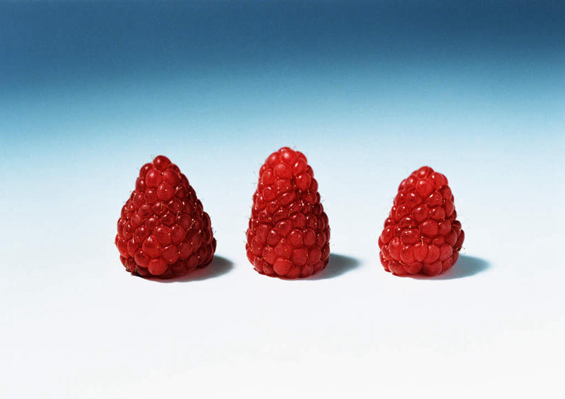 无人,横图,俯视,室内,特写,白天,白色背景,桌面,浆果,水果,一排,阴影,新鲜,整齐,反射,影子,桑葚,生食,食品,果实,食物,排列,三个,红色,覆盆子,球体,摄影,有机食品,绿色食品,影棚,队列,彩图,高角度拍摄,影棚拍摄,拍摄