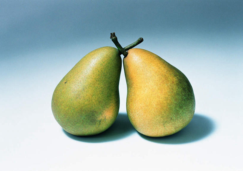 无人,横图,俯视,室内,特写,白天,白色背景,桌面,梨,水果,两根,阴影,新鲜,反射,影子,生食,食品,果实,根,食物,两个,绿色,靠,靠着,倚靠,球体,香梨,摄影,有机食品,绿色食品,影棚,倚着,生梨,彩图,高角度拍摄,影棚拍摄,拍摄
