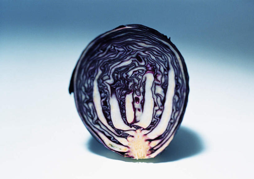 无人,横图,俯视,室内,特写,白天,白色背景,桌面,蔬菜,椰菜,卷心菜,切开,阴影,花纹,新鲜,反射,纹路,纹理,影子,食品,食物,一个,紫色,切,摄影,有机食品,绿色食品,影棚,单个,剖面,切面,结球甘蓝,甘兰,包心菜,彩图,高角度拍摄,影棚拍摄,拍摄