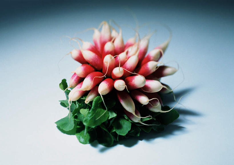 无人,横图,俯视,室内,特写,白天,白色背景,桌面,萝卜,蔬菜,叶子,一堆,许多,阴影,堆叠,堆积,新鲜,反射,影子,食品,绿叶,食物,红色,嫩叶,摄影,有机食品,绿色食品,影棚,水萝卜,堆,叶,叶片,彩图,高角度拍摄,影棚拍摄,拍摄